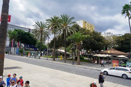 Las Palmas de Gran Canaria